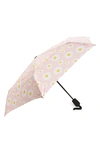 Shedrain Windpro Auto Open & Close Umbrella In Daisybell