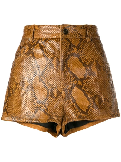 Saint Laurent High-waisted Snake Print Shorts In Brown