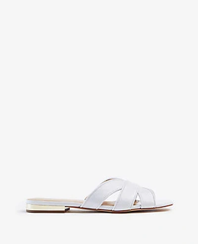 Ann Taylor Virginia Leather Flat Sandals In White