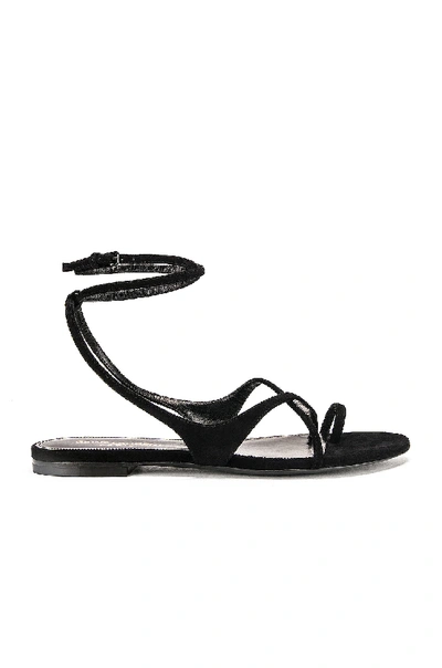 Saint Laurent Gia Wrap-around Suede Sandals In Black