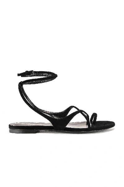 Saint Laurent Gia Wrap-around Suede Sandals In Black Suede
