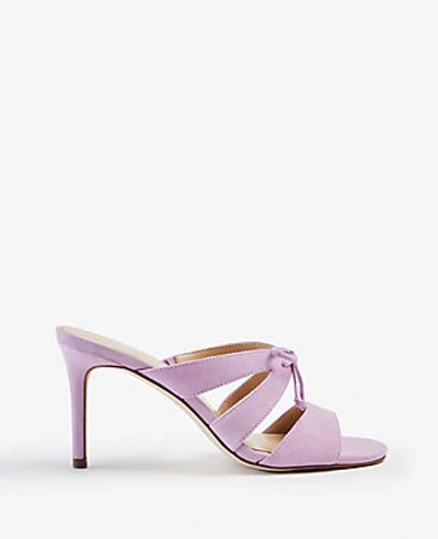 Ann Taylor Mathilda Bow Heeled Suede Sandals In Graceful Lilac