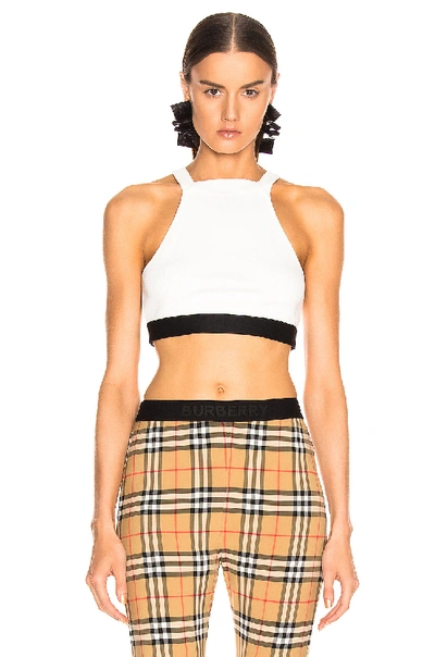 Alexander Wang T Compact Bra Top In White