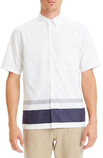 Theory Men's Bruner Engineered Stripe Button-down Shirt In Eclipse Stripe
