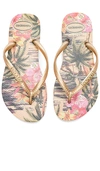 Havaianas 'slim Tropical' Flip Flop In Ivory