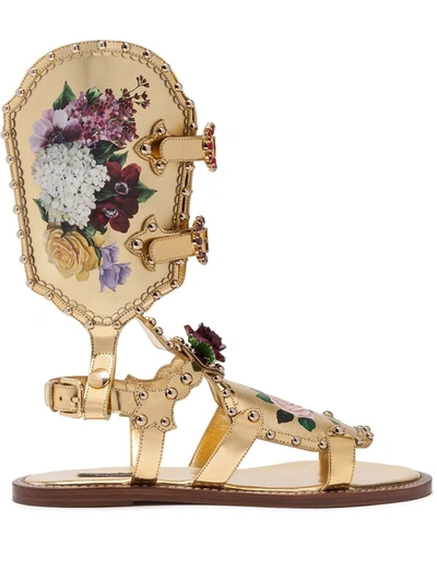 Dolce & Gabbana Gladiator Sandals With Floral Painting And Studs In Gold