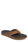 Sperry Top-sider® Regatta Flip Flop In Brown/ Tan Leather