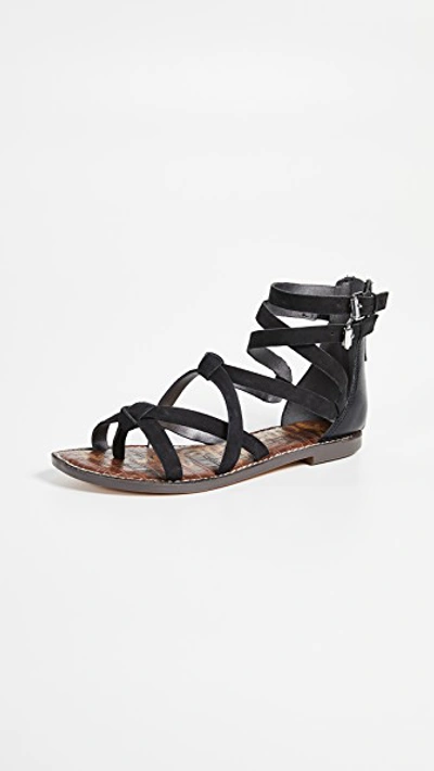 Sam Edelman Women's Gaton Gladiator Sandals In Black