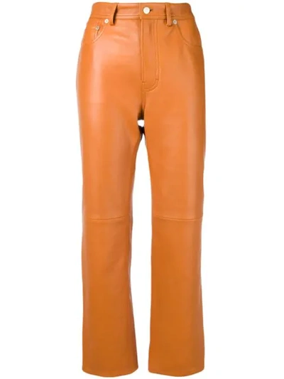 Acne Studios Leather Pants In Brown