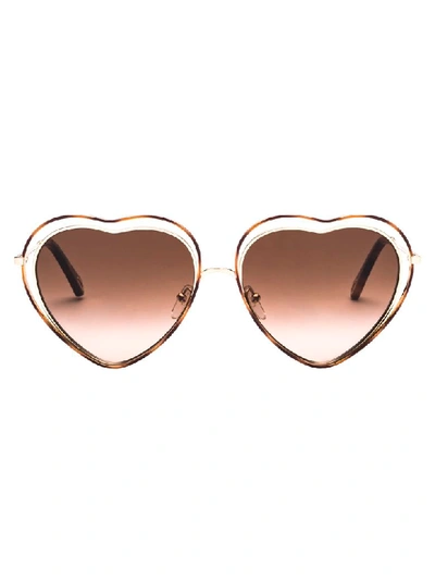 Chloé Sunglasses In Havana/brown