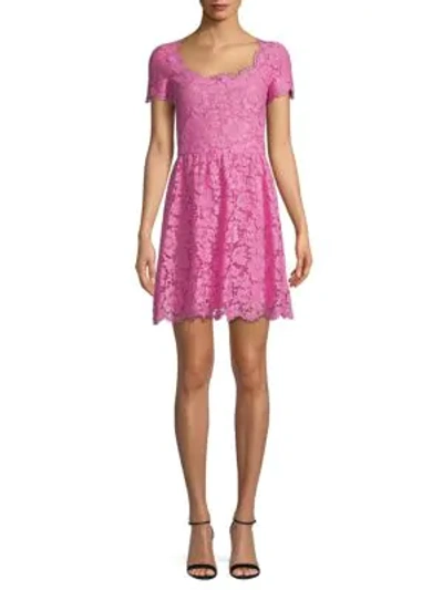Valentino Scalloped Lace Dress In Ninphea Pink