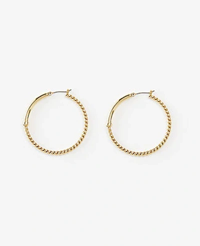 Ann Taylor Roped Hoop Earrings In Gold