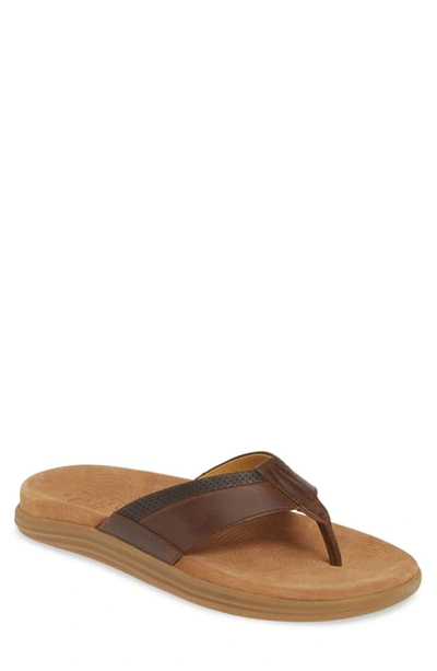 Sperry Gold Cup Amalfi Flip Flop In Brown Leather