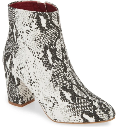 Band Of Gypsies Andrea Bootie In White/ Black Snake Print