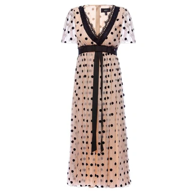 Nissa Silk Waistband & Lace Application Dots Dress