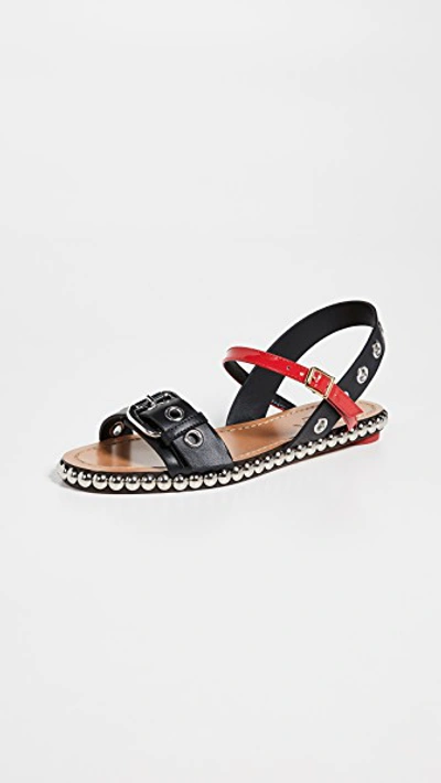 Marni Studded Flat Buckle Sandals In Black