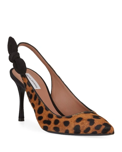 Tabitha Simmons Millie Leopard Calf Hair Slingback Pumps