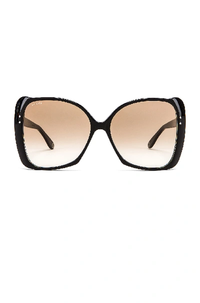 Gucci Square Acetate Sunglasses In Brown