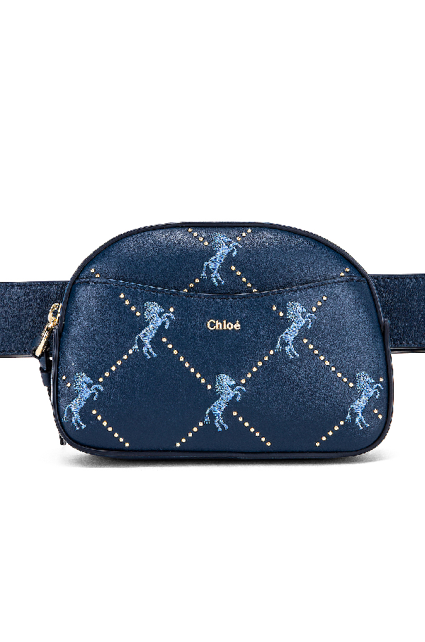 chloe signature bag