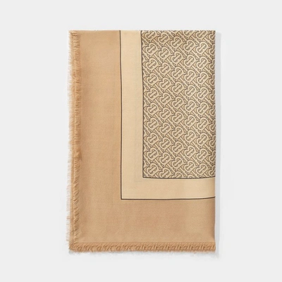 Burberry Tb Lightweight Scarf In Brown