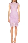 Bardot Lace Sheath Dress In Light Purple