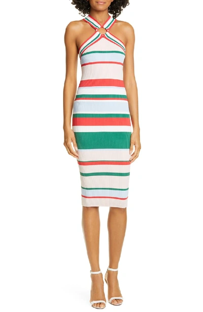 Ted Baker Iyndiaa Tutti Frutti Body-con Sweater Dress In White