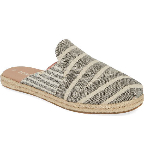 toms nova mule