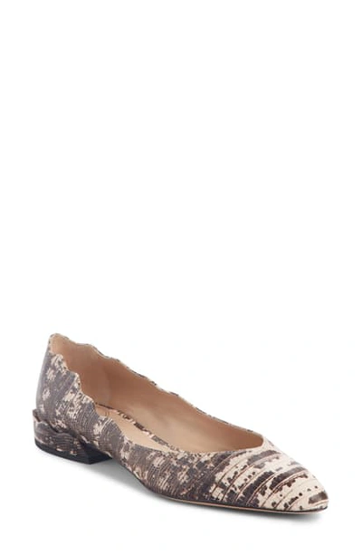 Chloé Women's Laurena Embossed Leather Ballerina Flats In Eternal Grey