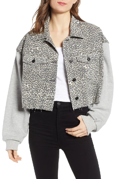 Allsaints Anders Mixed Media Cropped Jacket In Leopard