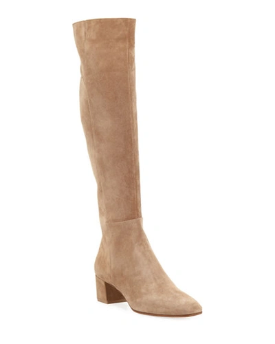 Gianvito Rossi Low-heel Suede Knee Boots In Taupe