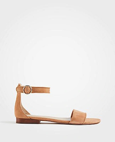 Ann Taylor Aislyn Suede Flat Sandals In Spiced Chai