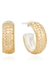 Anna Beck Small Dome Hoop Earrings In Gold