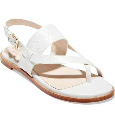 Cole Haan Women's Anica Leather Thong Sandals In Optic White Snake Leather