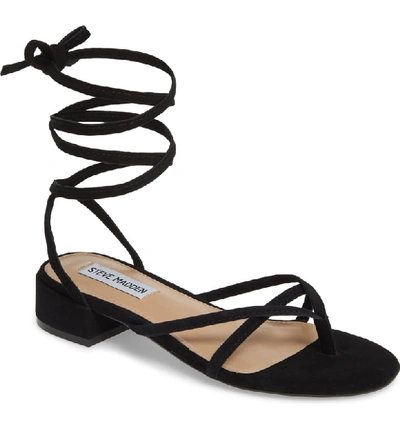Steve Madden Cherie Lace up Sandal In Black Suede ModeSens