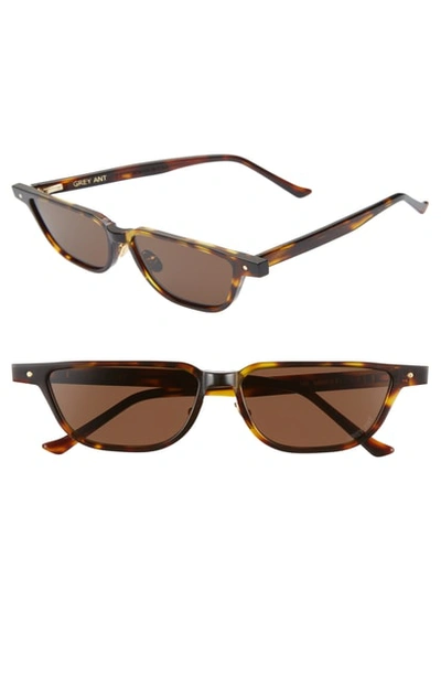 Grey Ant Mingus 59mm Sunglasses - Light Tortoise/carmel