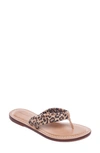 Sand Cheetah Print Suede