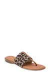 Andre Assous Women's Nice Thong Sandals In Leopard