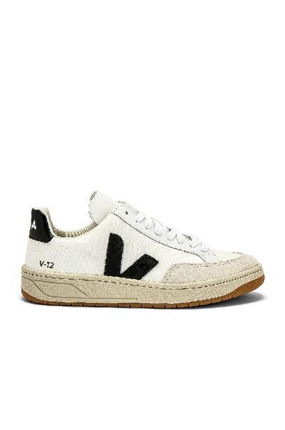 Veja V 12 Sneaker In White. In White & Black