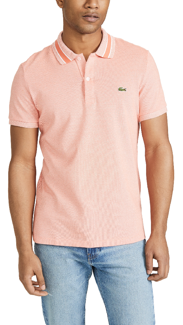 lacoste tipped collar polo
