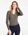 Ann Taylor Petite Ribbed V-neck Cardigan In Highland Green