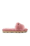 Ugg Cozette Genuine Shearling Slipper In Pink Dawn