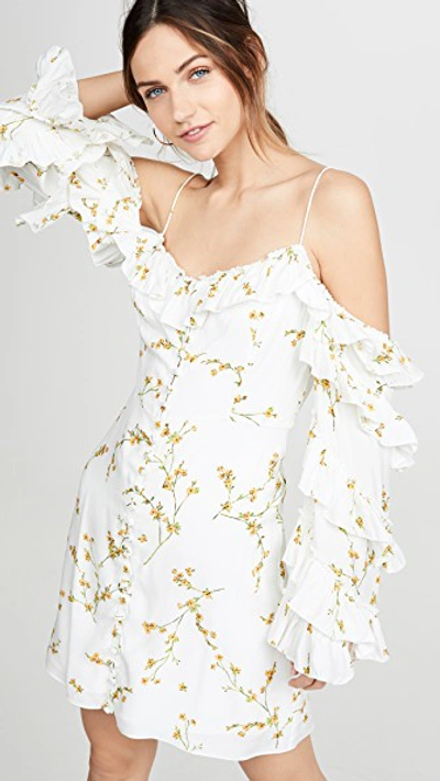 Divine Héritage Cold Shoulder Ruffle Sleeve Button Up Mini Dress In White Light