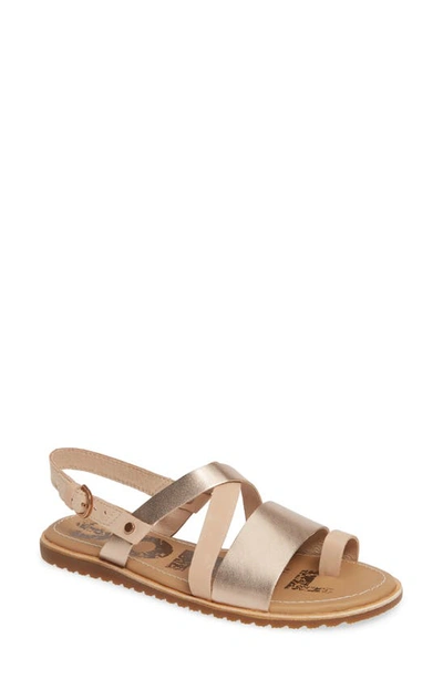 Sorel Ella Criss Cross Sandal In Natural Tan