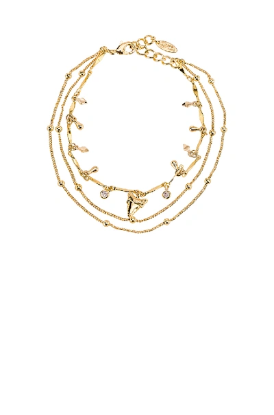 Ettika Shark Tooth Anklet In Clear & Gold