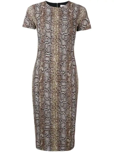Victoria Beckham Python Print Fitted T-shirt Dress In Khaki