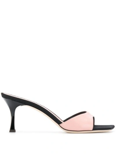 Giuseppe Zanotti 'dem' Mules In Rosa