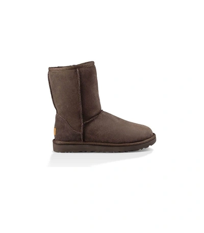 Ugg Brown Ankle Boots