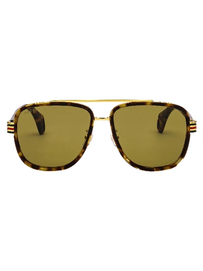Gucci Multicolor Acetate Sunglasses