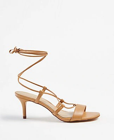 Ann Taylor Magdalena Wrap Heeled Sandals In Neutrals