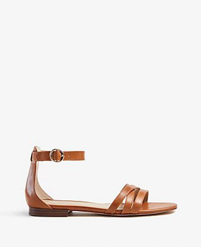 Ann Taylor Karmin Leather Flat Sandals In Brown